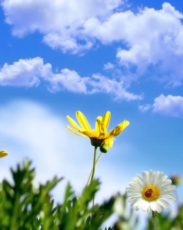 28b3b8d1f5a2775813643379f739853e