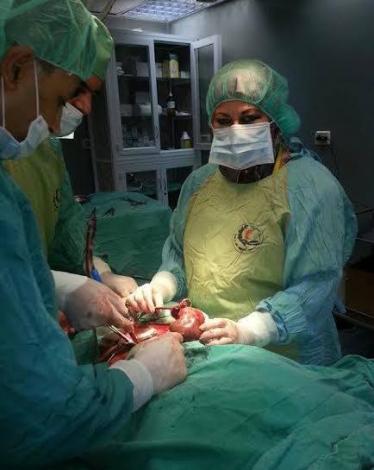 12244147_1525972647722867_236780888_n