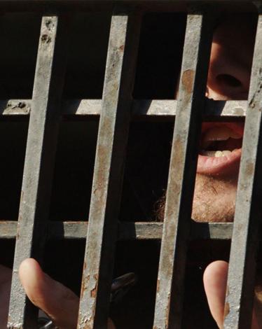 ea42a5a497e0462aaef96ce361b5886a