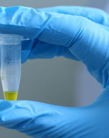 69d30d563fc193a4ae24488d6878c11d33fcc3c1