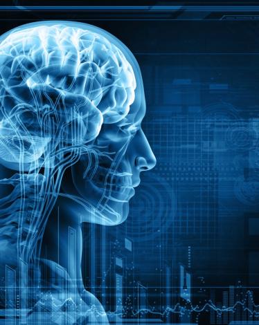 The-Human-Brain
