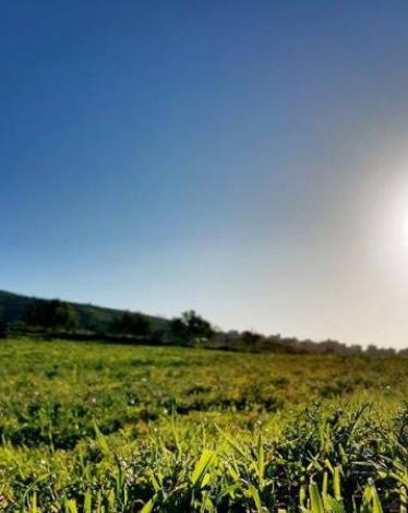 الطقس: انخفاض درجات الحرارة مع بقائها أعلى من معدلها السنوي