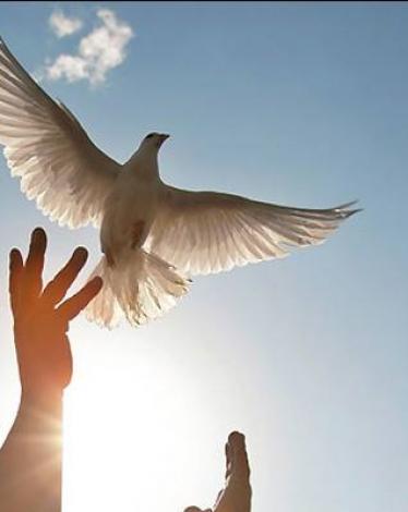 1464747_955366311199646_724555750886033380_n