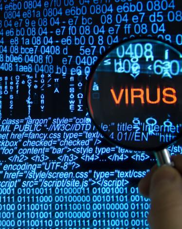 virus