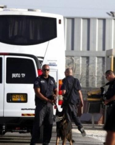 07137011678112886327301358315277