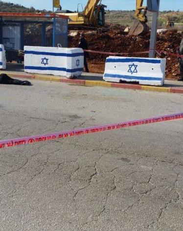 12249782_729088233892689_3417027380835777809_n