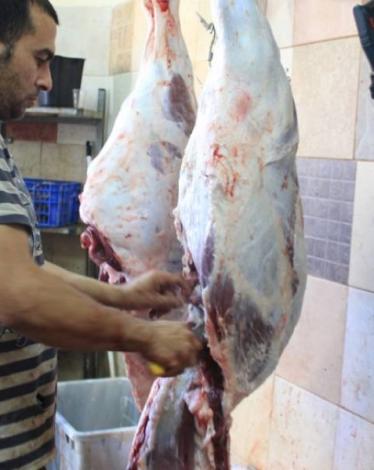 توزيع لحوم الأضاحي