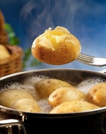 egypttoday_-_طرق_طهي_الأطعمة_المختلفة4