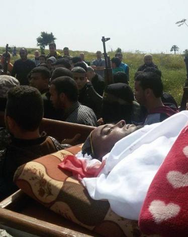 12923186_1367982793244137_4091645304104952101_n