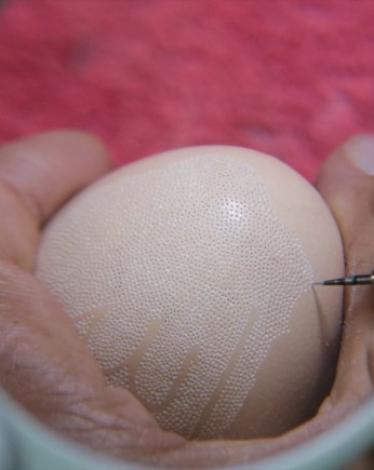 20180804_2_31771818_36158046_Web-1