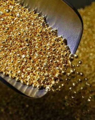 الذهب مستقر وسط إقبال على المخاطرة