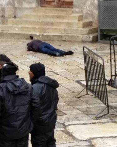 15541145_1414055628618862_874300579788408481_n