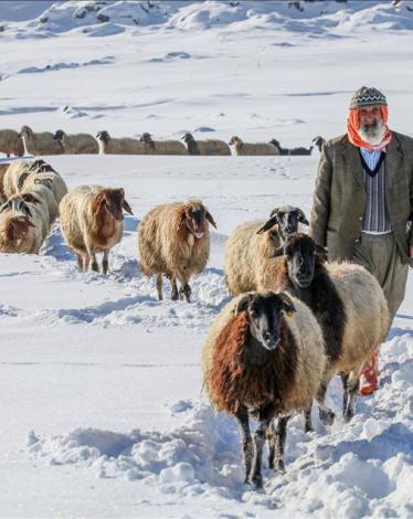 12400651_1286153051427112_2264440682260096869_n