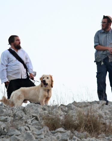 7cd86a04f8bb20b0a4a2c7e0906fc9e0