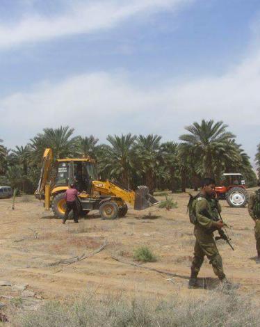 13139042_575021172659126_7904561595290738567_n