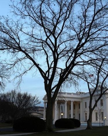 589c00f7c46188671a8b46b5