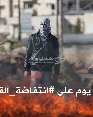 12476060_459582584228113_466494779_n