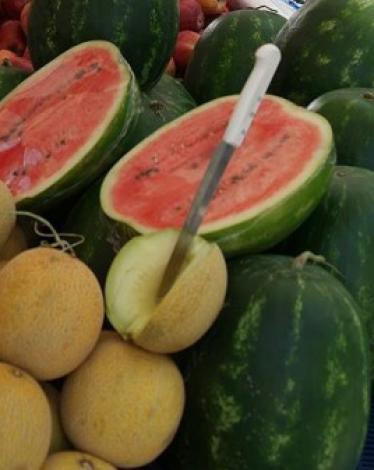 الزراعة بغزة توضح حقيقة وجود حالات تسمم بسبب (البطيخ) و(الشمام)
