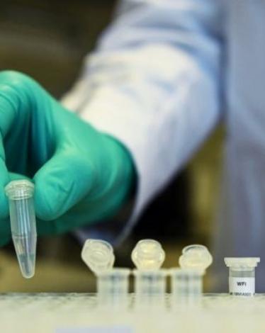 الطحالب أكثر فاعلية من الأدوية ضد كورونا