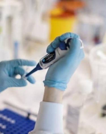 العلماء يستفيدون من تراكم البحوث
