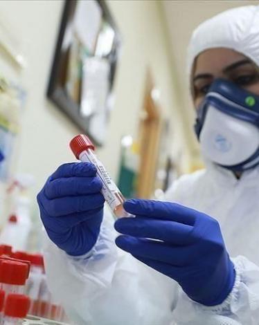 11 إصابة جديدة بفيروس كورونا في عمان
