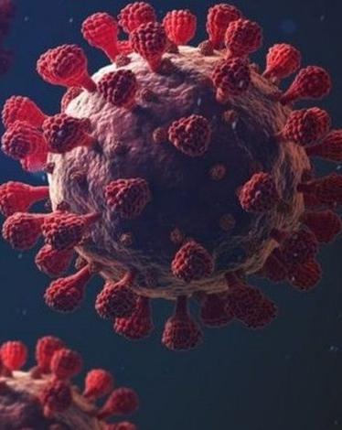 الدراسة تقدم دليلا على أن مناعة الخلايا التائية قد تستمر لفترة أطول من الأجسام المضادة