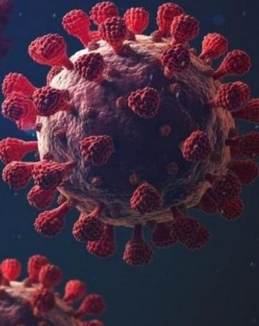 4 أعراض تعني أن لديك مناعة قوية لفيروس كورونا