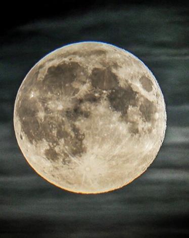 ملياردير يبحث عن مرافقين له في رحلته حول القمر