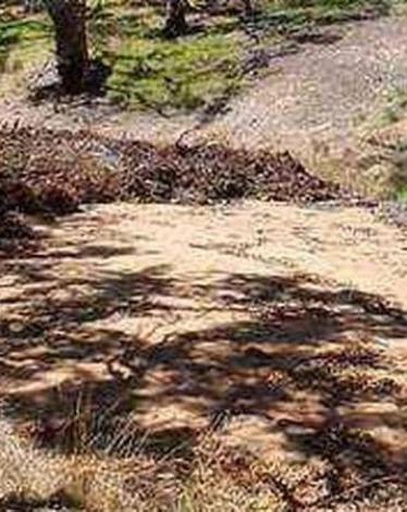 نهر يعود إلى الحياة بعد 3 سنوات