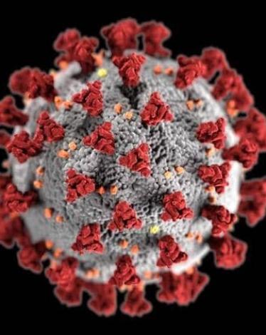 أظهرت الدراسة أن كورونا قد تكون عرضة للموجات فوق الصوتية