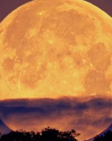 سماء الوطن العربي تشهد أول قمر عملاق في ٢٠٢١ الإثنين المقبل