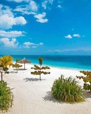 تعرف على أبرز الأماكن السياحية في جزيرة زنجبار الرائعة