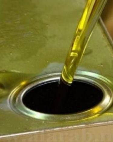 الاقتصاد بغزة توضح تفاصيل جديدة بشأن موسم الزيتون وأسعار خلط الزيت