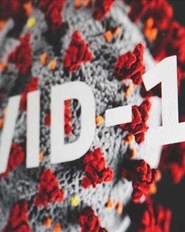 دراسة: مدة بقاء الأجسام المضادة بعد إصابة كورونا 10 أشهر