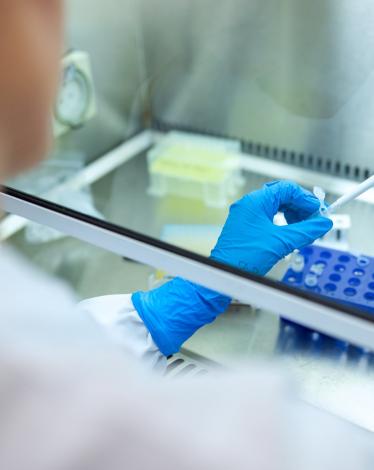 عالمياً.. أكثر من 305 مليون إصابة بكورونا