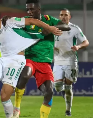 رسميا.. فيفا يرد على طلب إعادة مباراة الجزائر والكاميرون