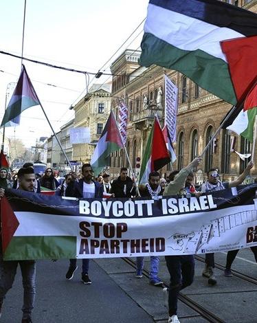 ناشطة أمريكية تحذر من خطر على حياتها بسبب دعمها لفلسطين