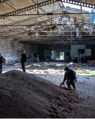 برغم انخفاض أسعارها.. الإمدادات الغذائية العالمية في خطر