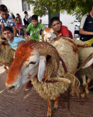 موعد عيد الأضحى فلكيًا لعام 2023