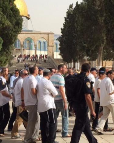171 مستوطنًا يقتحمون الأقصى بحراسة مشددة