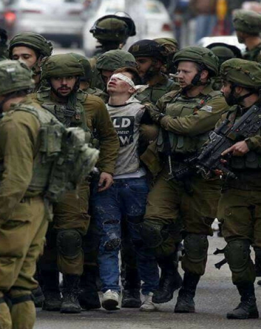 الاحتلال يعتقل 5 آلاف فلسطيني بينهم 83 امرأة و678 طفلًا