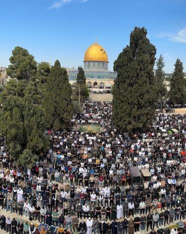 WhatsApp Image 2025-03-14 at 12.43.02 PM.jpeg-85fcf4a3-25dd-4c4e-b1de-a25892c1dfd2.jpeg