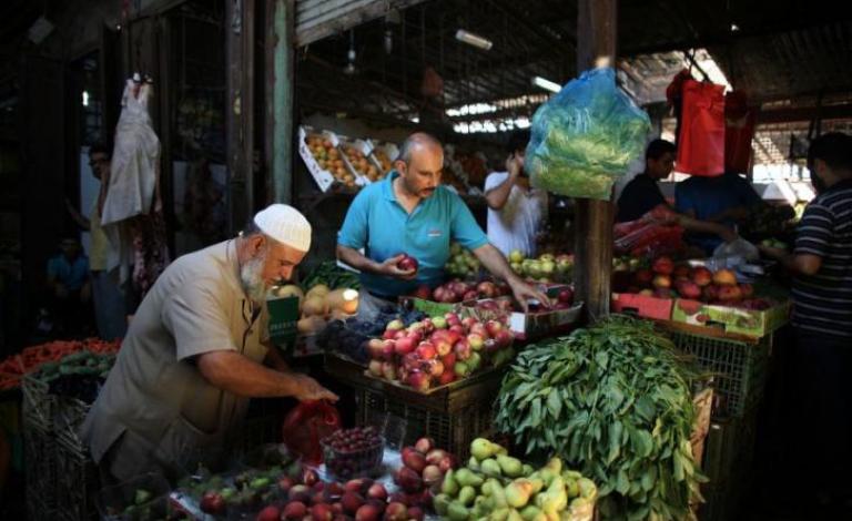 فلسطين