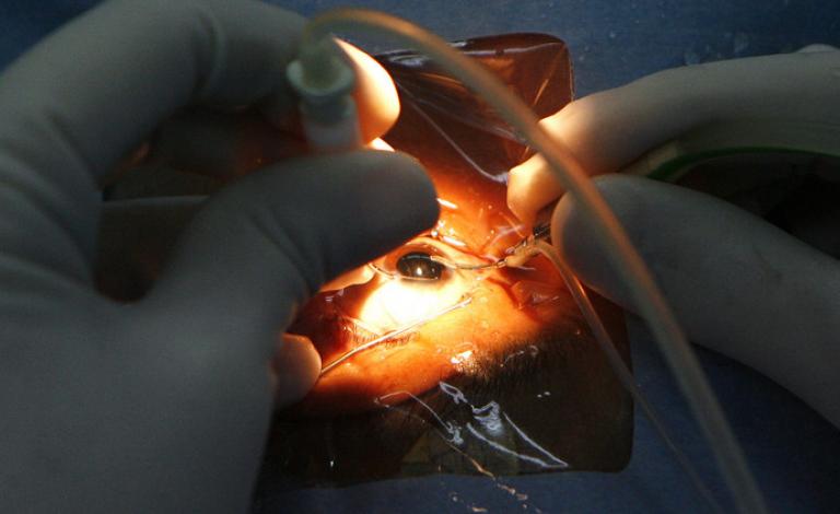 56e2c1d5c4618876778b45eb