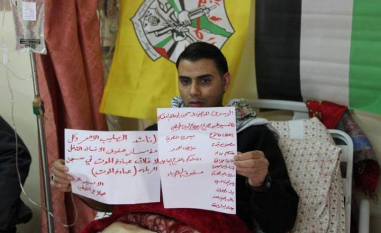 1934046_1686280274921560_8816846912137138813_n