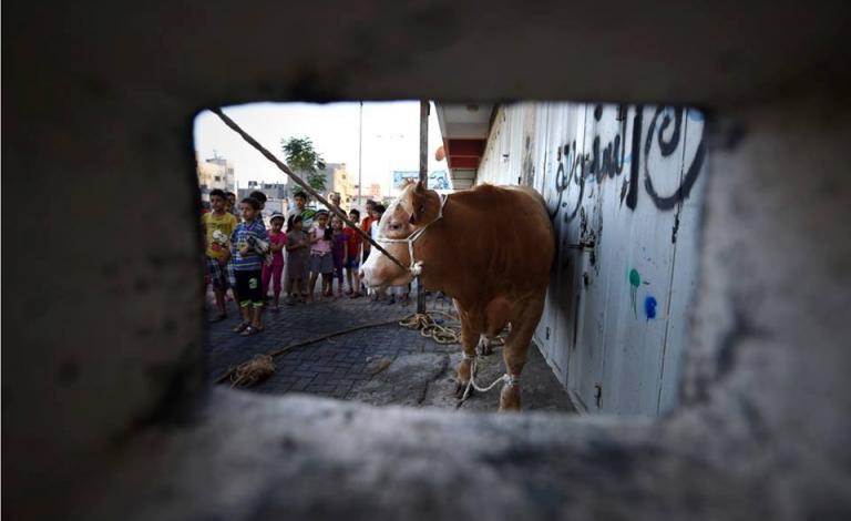 10377010_897642380310203_2594015254051248533_n