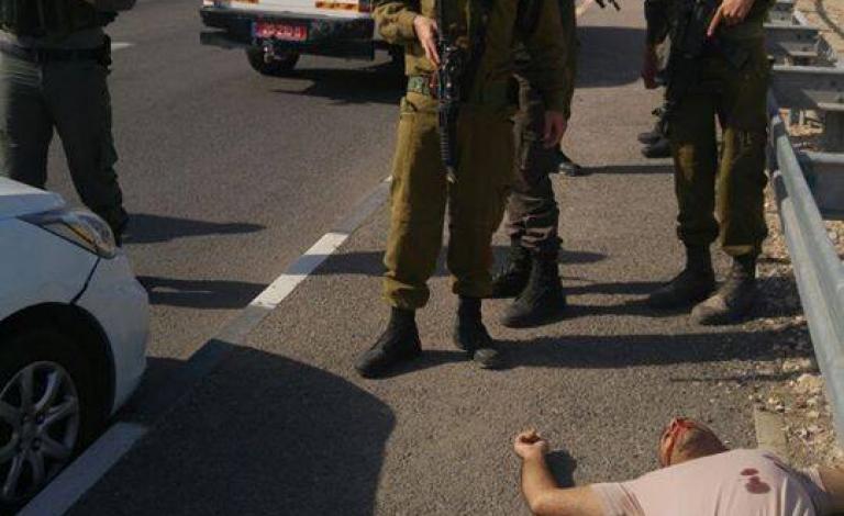 12270594_10208139819477306_846574041_n