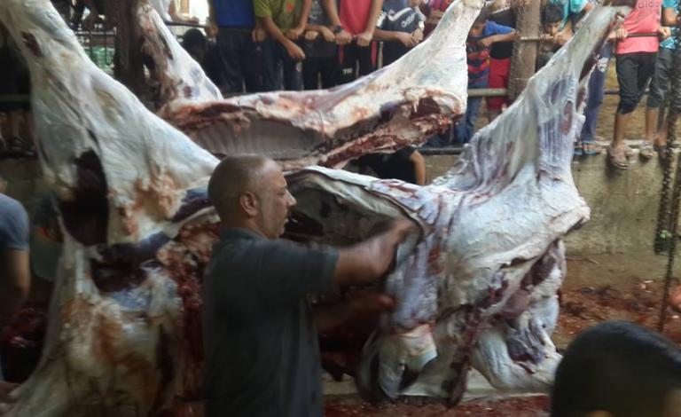 مهنة موسمية..