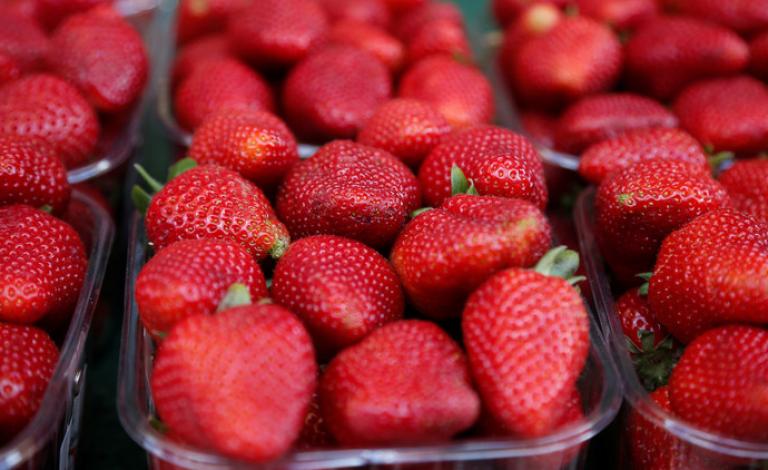 تفشي الالتهاب الكبدي في أمريكا بسبب فراولة مصرية