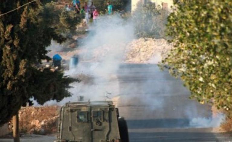 11173258380306390033901733338157